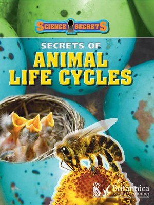 cover image of Secrets of Animal Life Cycles